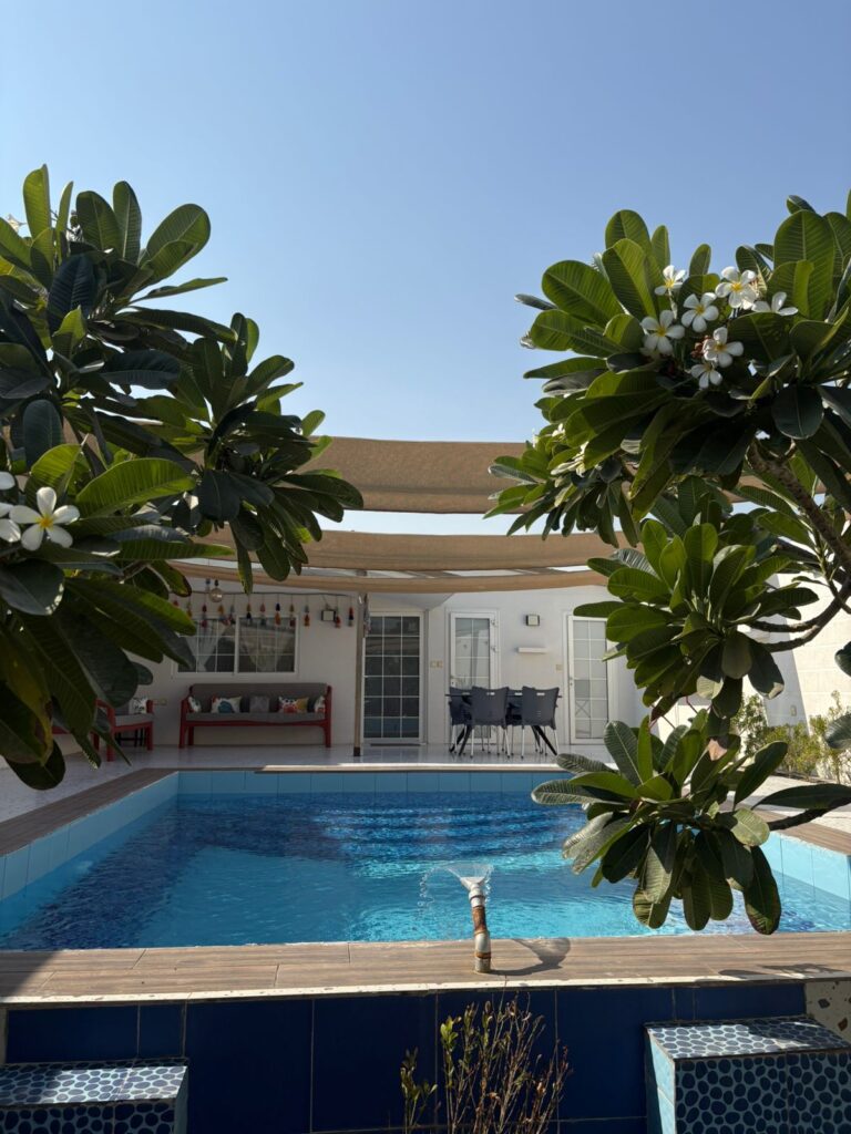 WhatsApp Image 2025-12-10 at 4.05.08 PM